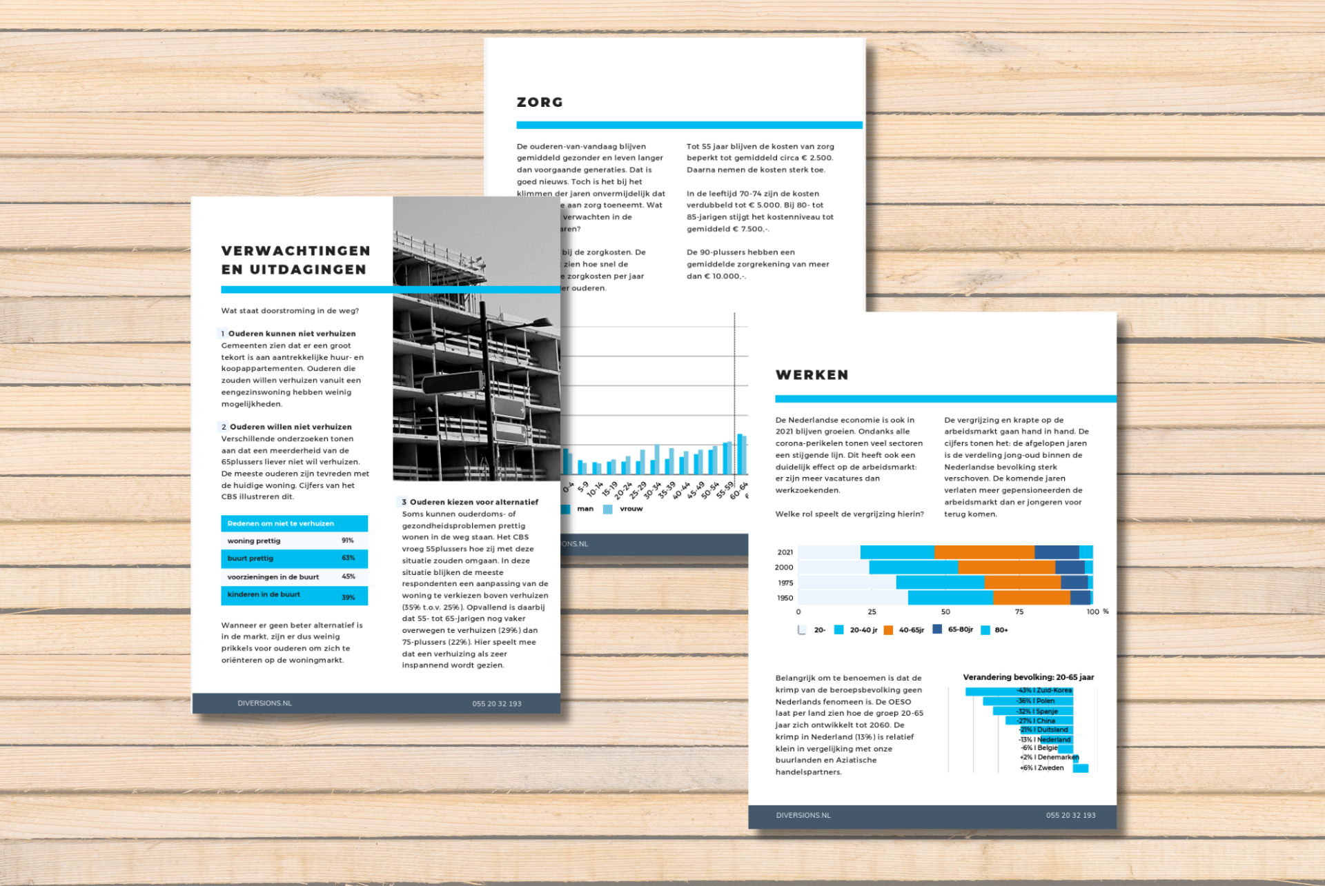 inhoud ebook vergrijzing: over zorg, werk en uitdagingen
